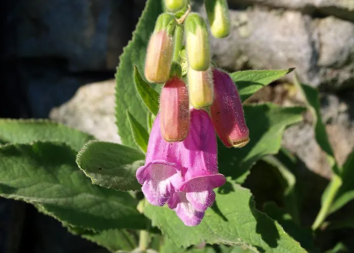 Casa rural La De Grimaldo